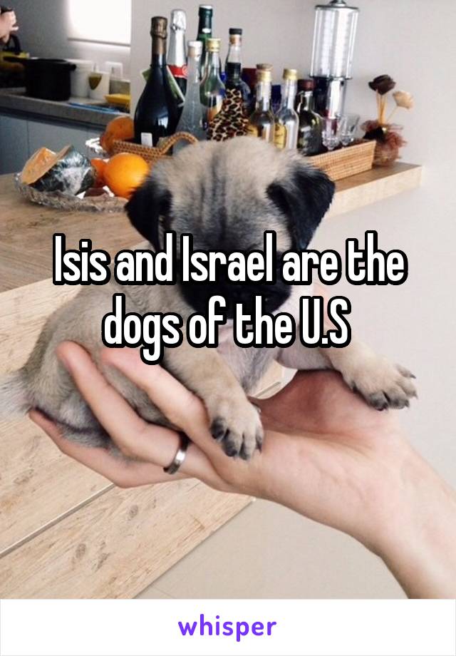 Isis and Israel are the dogs of the U.S 
