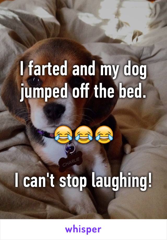 I farted and my dog jumped off the bed.

😂😂😂

I can't stop laughing!