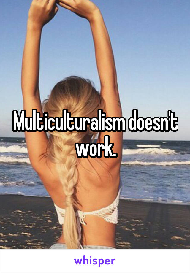Multiculturalism doesn't work.