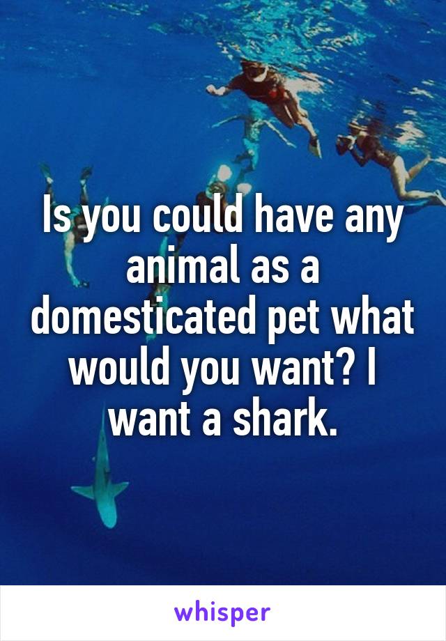 Is you could have any animal as a domesticated pet what would you want? I want a shark.