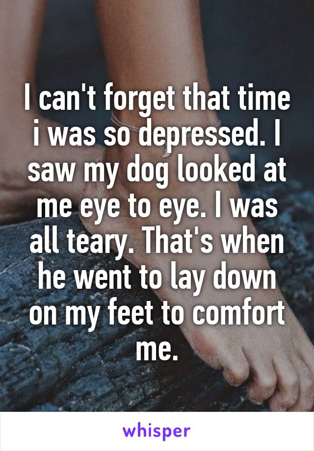 I can't forget that time i was so depressed. I saw my dog looked at me eye to eye. I was all teary. That's when he went to lay down on my feet to comfort me.