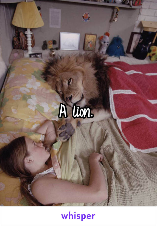 A lion. 