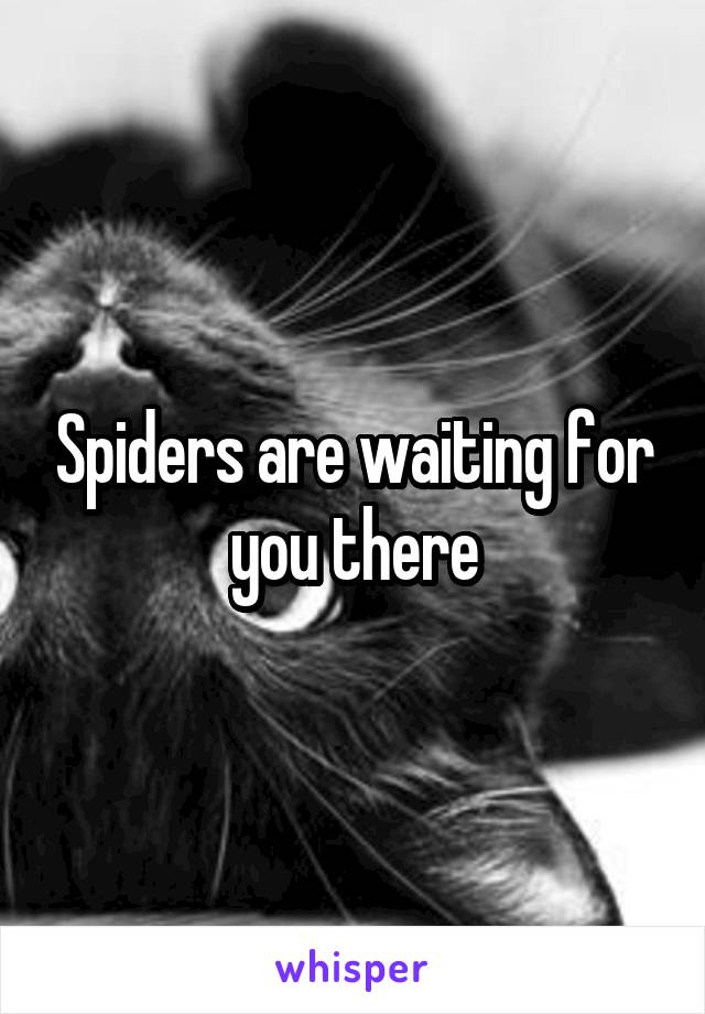Spiders are waiting for you there