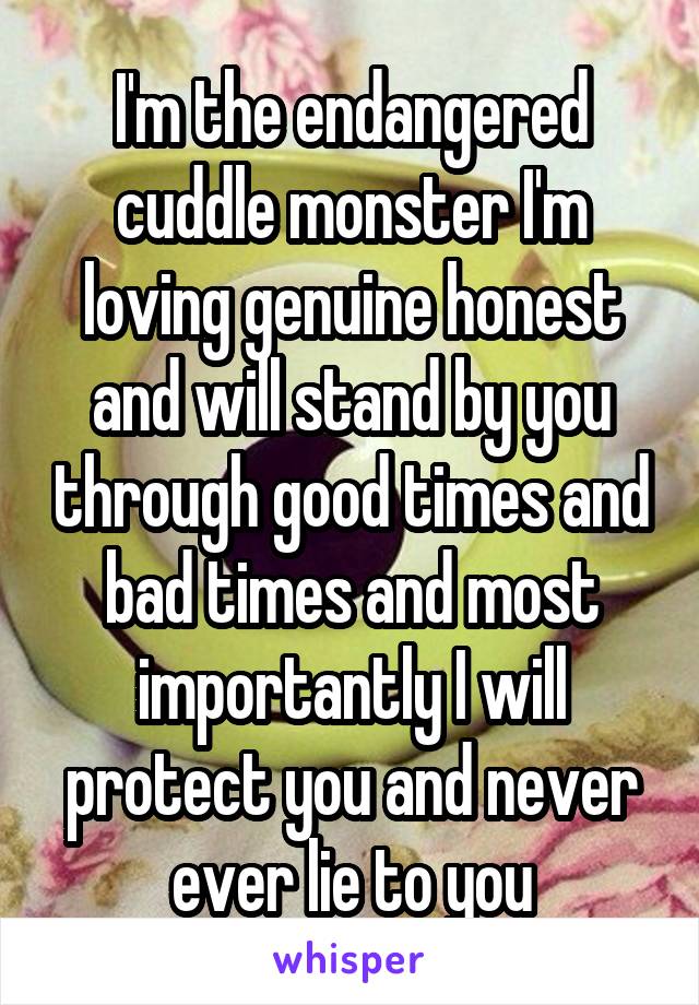 I'm the endangered cuddle monster I'm loving genuine honest and will stand by you through good times and bad times and most importantly I will protect you and never ever lie to you