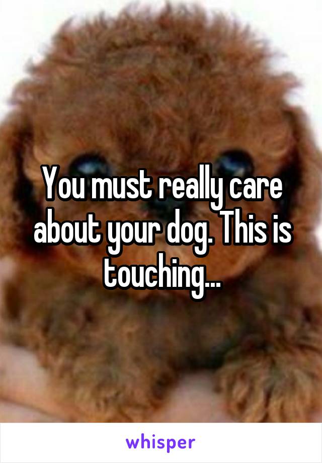 You must really care about your dog. This is touching...
