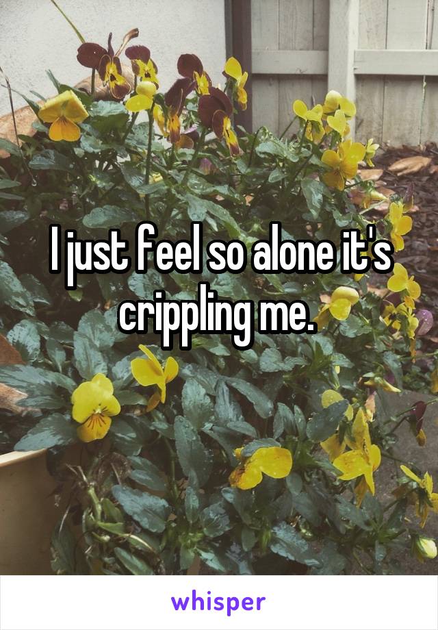 I just feel so alone it's crippling me. 

