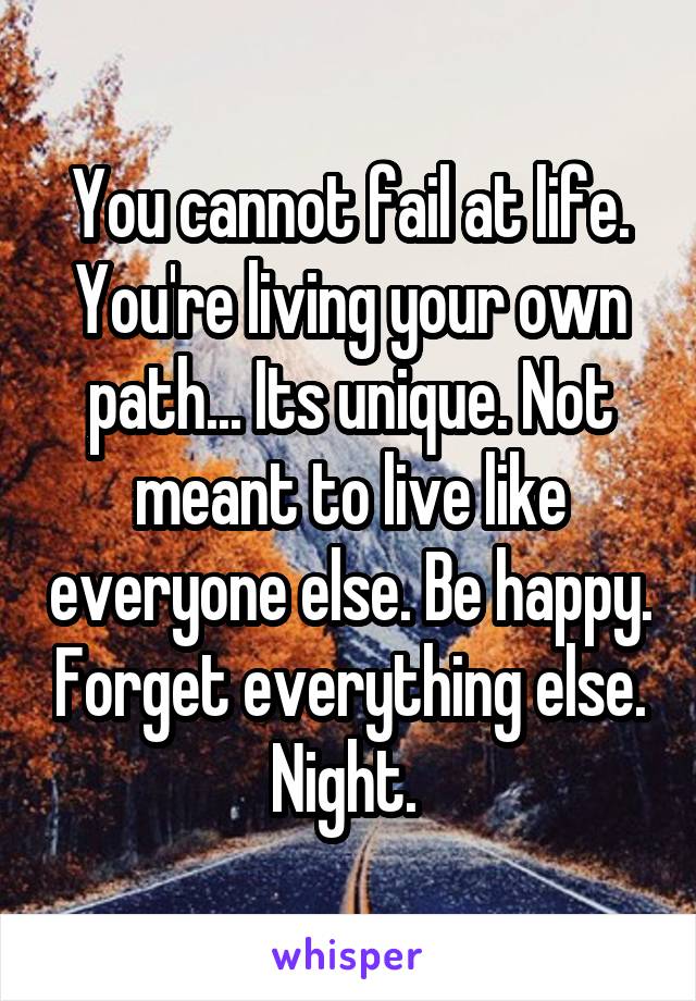 You cannot fail at life. You're living your own path... Its unique. Not meant to live like everyone else. Be happy. Forget everything else. Night. 