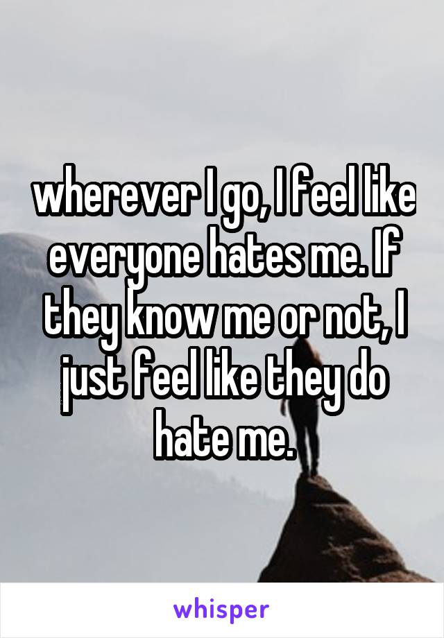 wherever I go, I feel like everyone hates me. If they know me or not, I just feel like they do hate me.