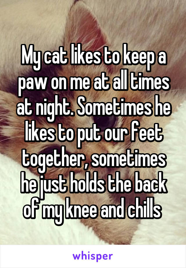 My cat likes to keep a paw on me at all times at night. Sometimes he likes to put our feet together, sometimes he just holds the back of my knee and chills 