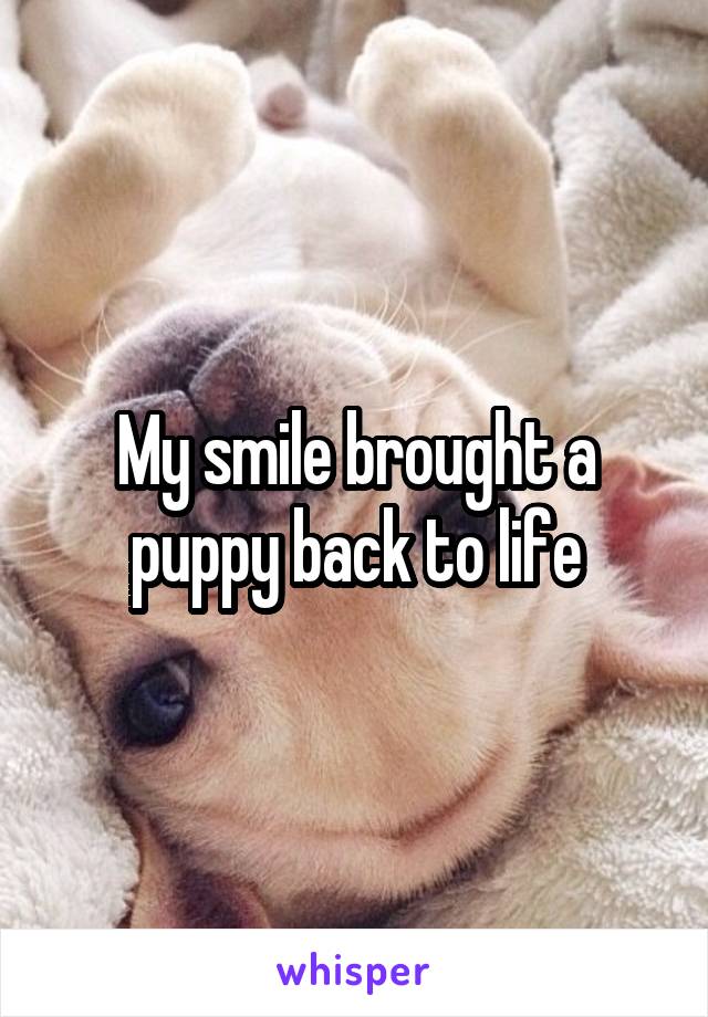 My smile brought a puppy back to life