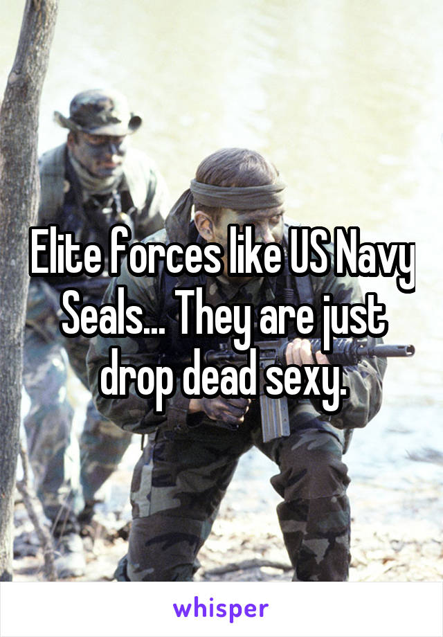 Elite forces like US Navy Seals... They are just drop dead sexy.