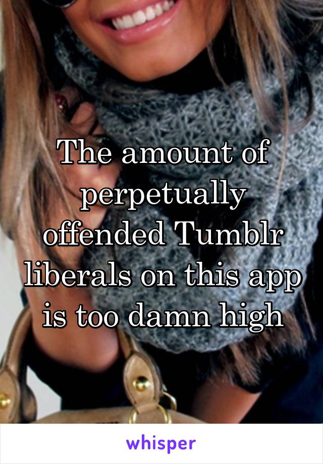 The amount of perpetually offended Tumblr liberals on this app is too damn high