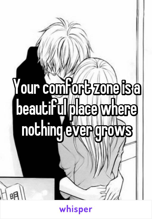 Your comfort zone is a beautiful place where nothing ever grows