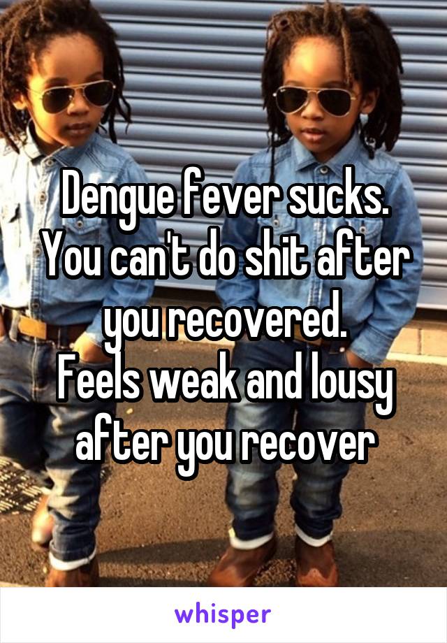 Dengue fever sucks. You can't do shit after you recovered.
Feels weak and lousy after you recover