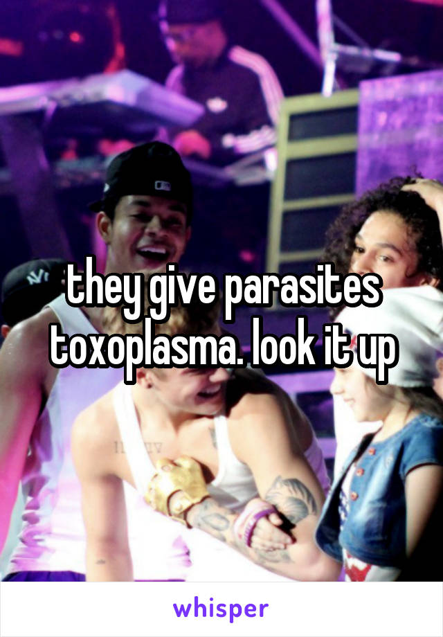 they give parasites toxoplasma. look it up