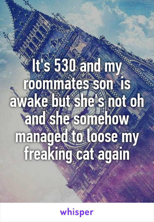 It's 530 and my roommates son  is awake but she's not oh and she somehow managed to loose my freaking cat again