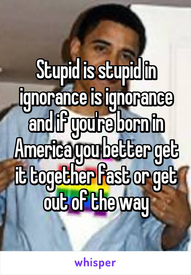 Stupid is stupid in ignorance is ignorance and if you're born in America you better get it together fast or get out of the way