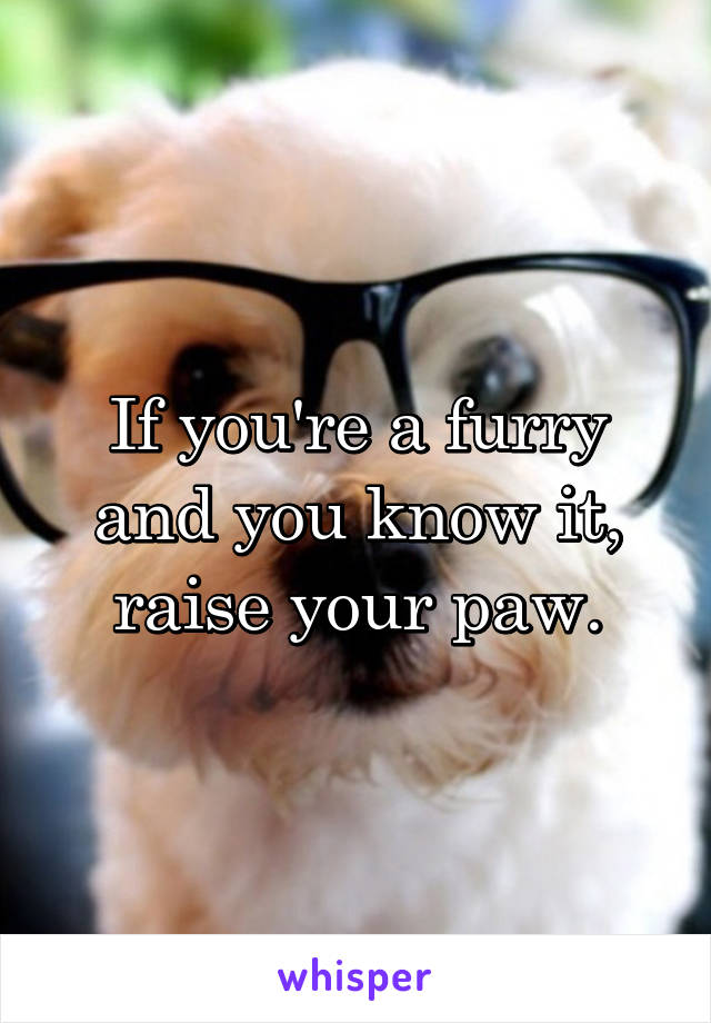 If you're a furry and you know it, raise your paw.