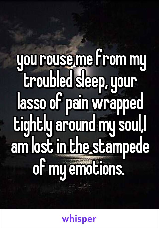  you rouse me from my troubled sleep, your lasso of pain wrapped tightly around my soul,I am lost in the stampede of my emotions. 