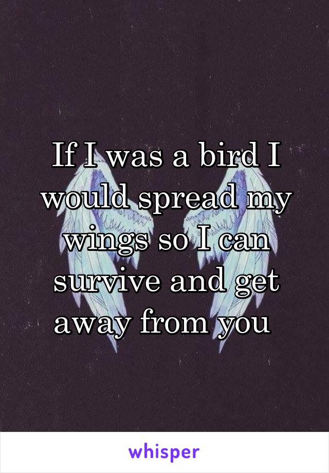 If I was a bird I would spread my wings so I can survive and get away from you 