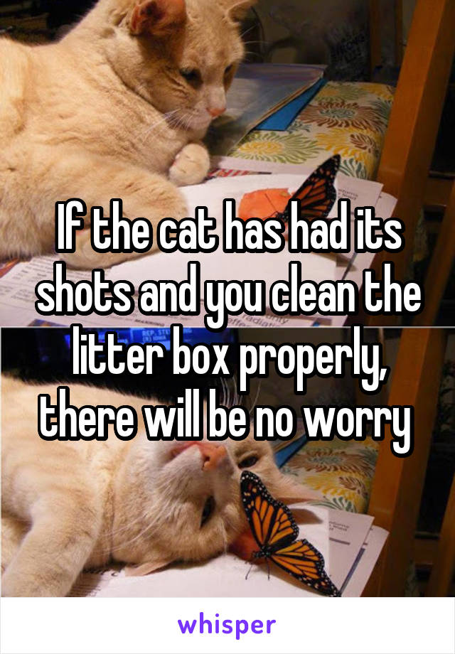 If the cat has had its shots and you clean the litter box properly, there will be no worry 