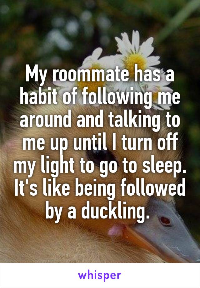 My roommate has a habit of following me around and talking to me up until I turn off my light to go to sleep. It's like being followed by a duckling. 