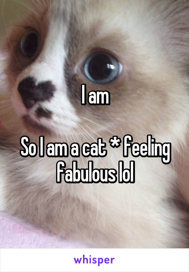 I am

So I am a cat * feeling fabulous lol