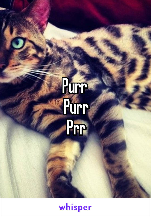 Purr 
Purr
Prr