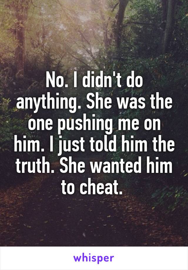 No. I didn't do anything. She was the one pushing me on him. I just told him the truth. She wanted him to cheat. 