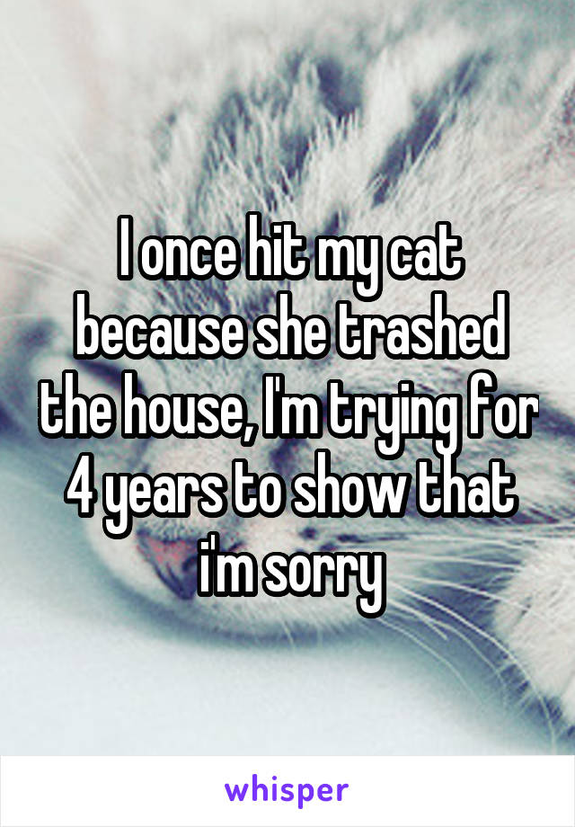 I once hit my cat because she trashed the house, I'm trying for 4 years to show that i'm sorry