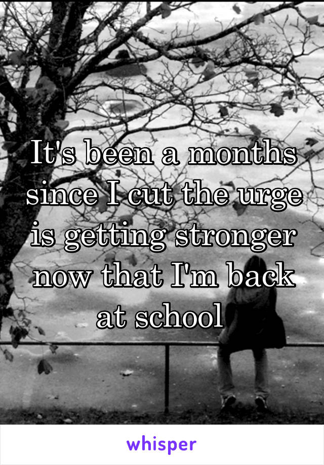 It's been a months since I cut the urge is getting stronger now that I'm back at school 