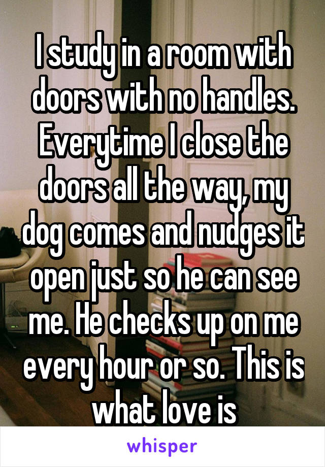 I study in a room with doors with no handles. Everytime I close the doors all the way, my dog comes and nudges it open just so he can see me. He checks up on me every hour or so. This is what love is