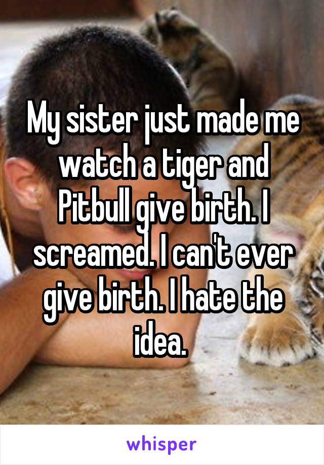 My sister just made me watch a tiger and Pitbull give birth. I screamed. I can't ever give birth. I hate the idea. 