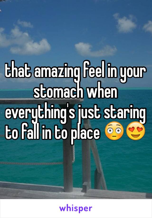 that amazing feel in your stomach when everything's just staring to fall in to place 😳😍