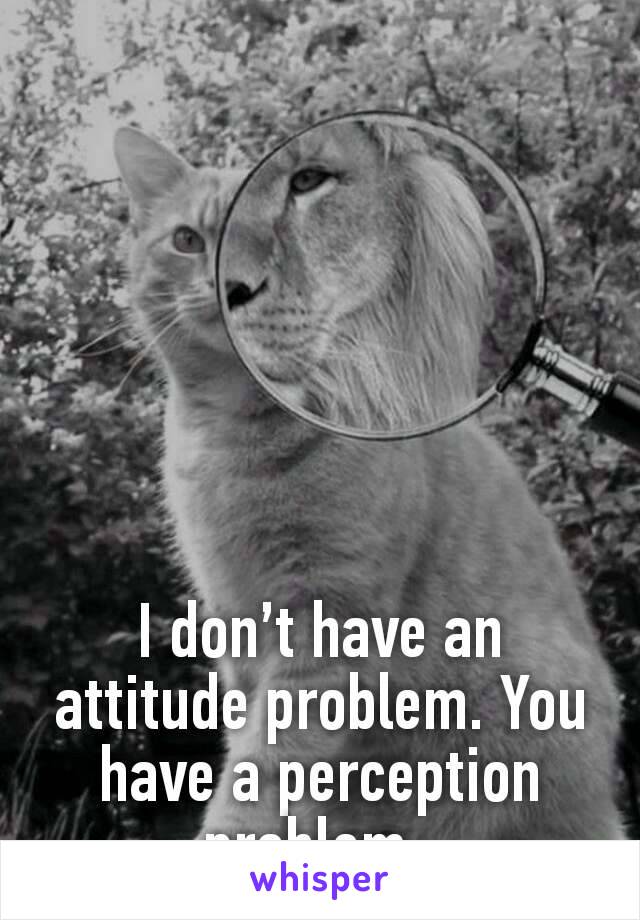 I don’t have an attitude problem. You have a perception problem. 
