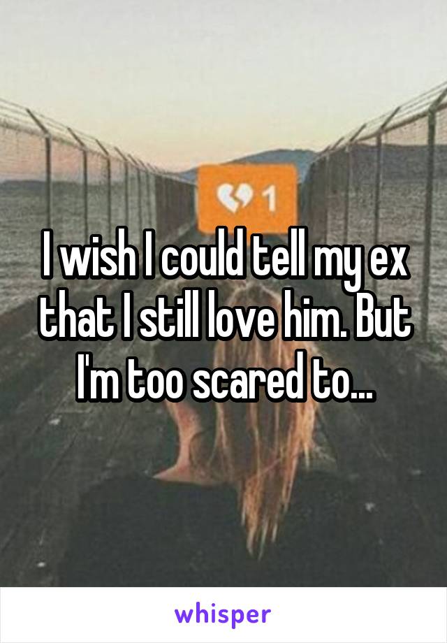 I wish I could tell my ex that I still love him. But I'm too scared to...