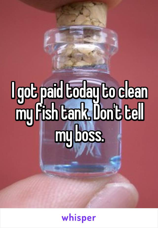 I got paid today to clean my fish tank. Don't tell my boss.