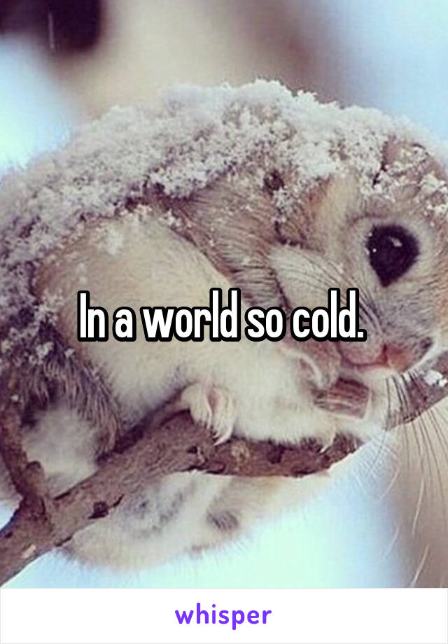 In a world so cold. 