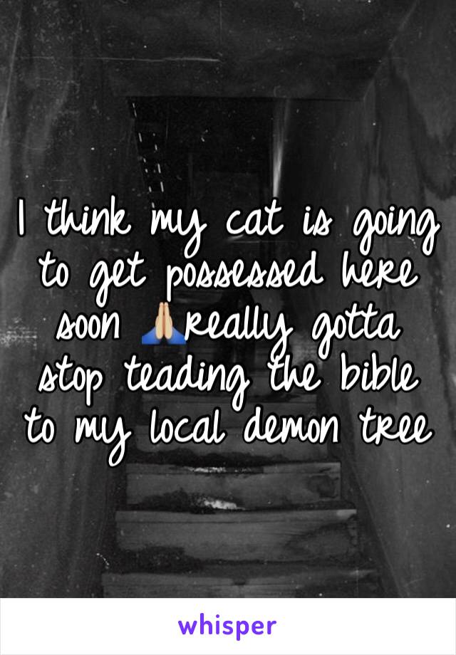 I think my cat is going to get possessed here soon 🙏🏼really gotta stop teading the bible to my local demon tree