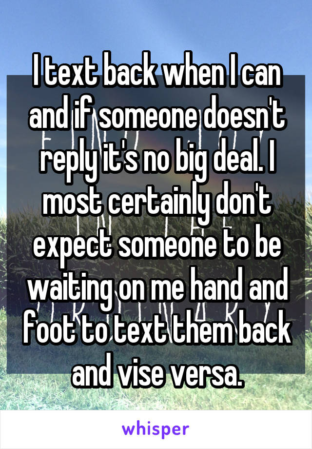 I text back when I can and if someone doesn't reply it's no big deal. I most certainly don't expect someone to be waiting on me hand and foot to text them back and vise versa.