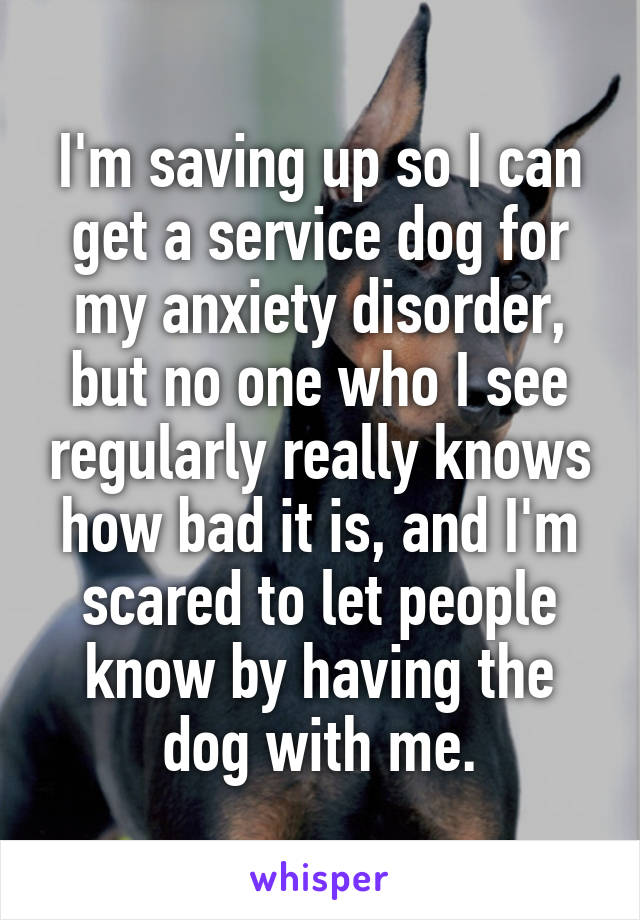I'm saving up so I can get a service dog for my anxiety disorder, but no one who I see regularly really knows how bad it is, and I'm scared to let people know by having the dog with me.