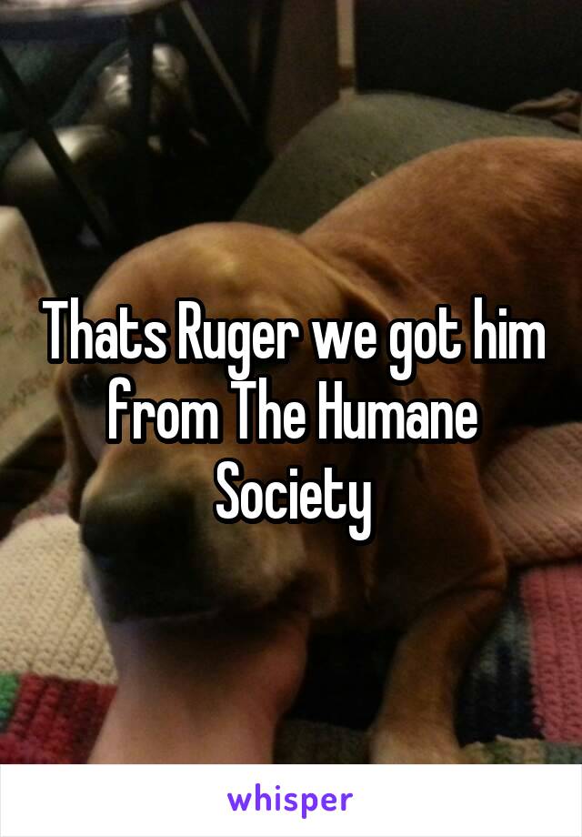 Thats Ruger we got him from The Humane Society