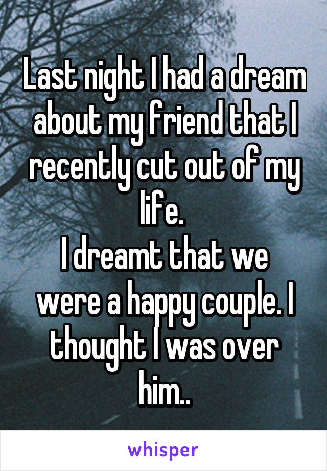 Last night I had a dream about my friend that I recently cut out of my life. 
I dreamt that we were a happy couple. I thought I was over him..