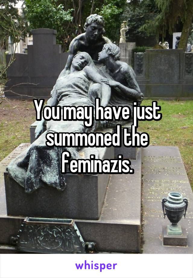 You may have just summoned the feminazis.