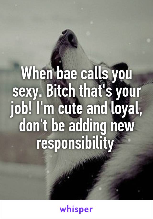 When bae calls you sexy. Bitch that's your job! I'm cute and loyal, don't be adding new responsibility 