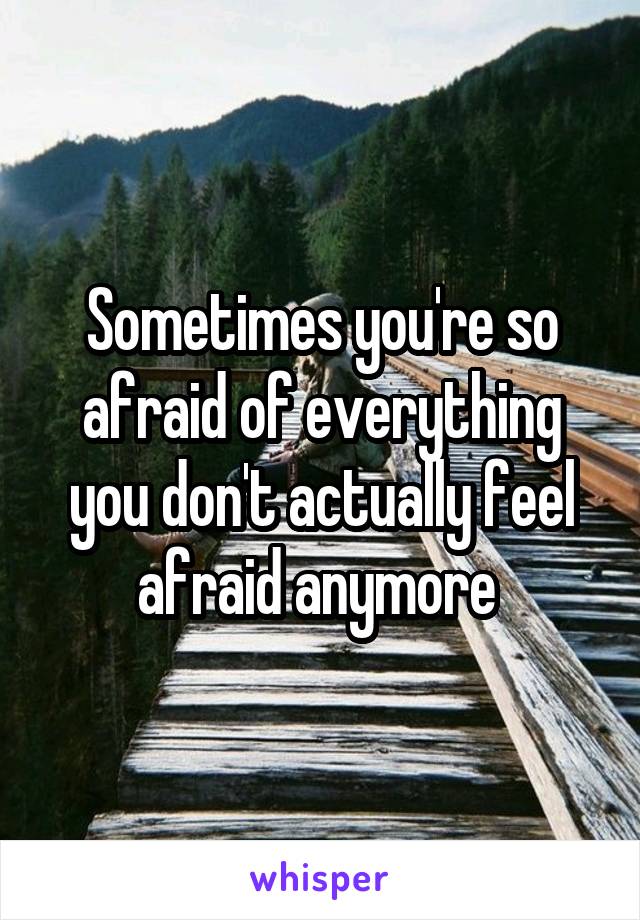 Sometimes you're so afraid of everything you don't actually feel afraid anymore 
