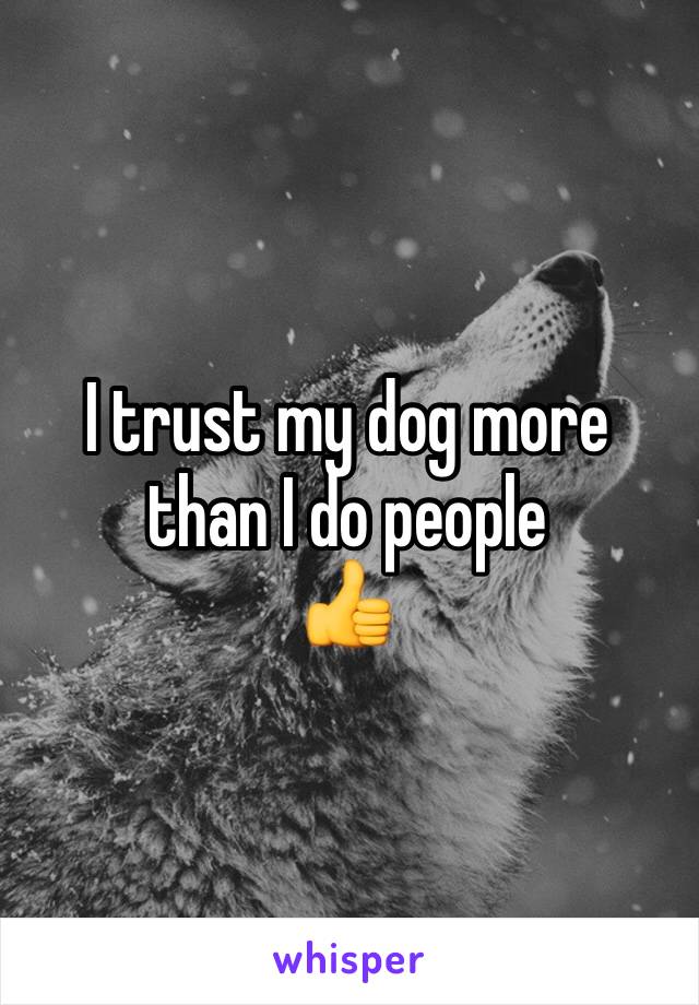 I trust my dog more than I do people
👍