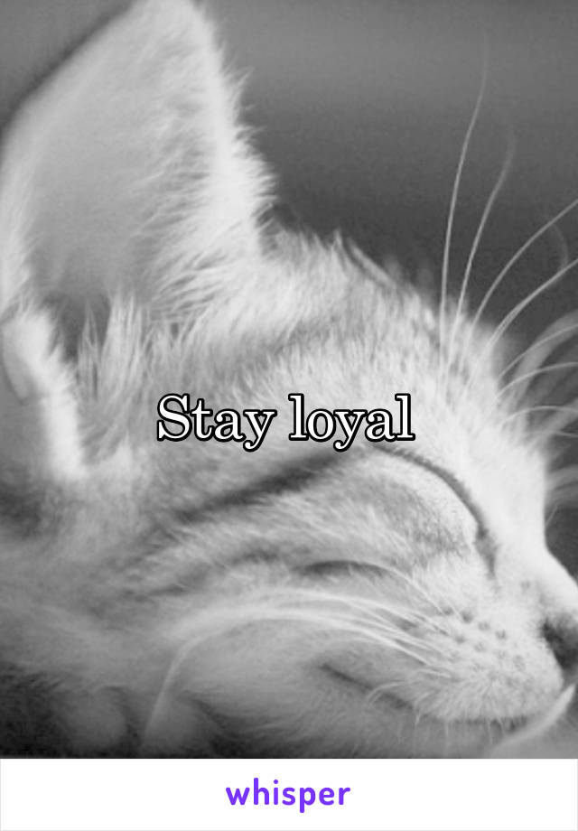 Stay loyal 