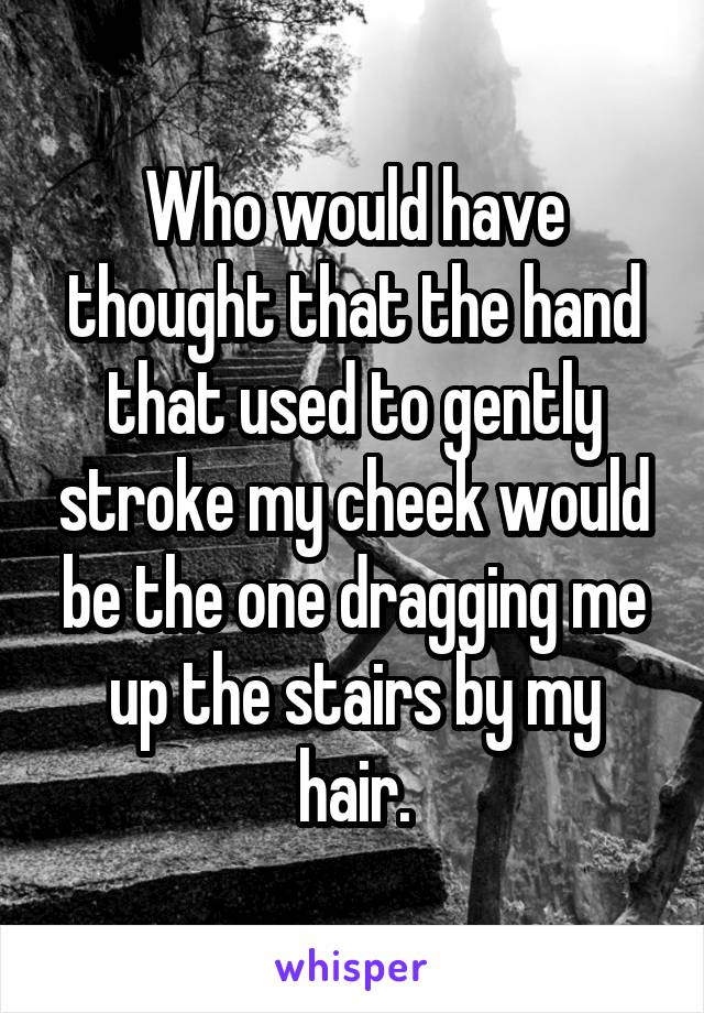 Who would have thought that the hand that used to gently stroke my cheek would be the one dragging me up the stairs by my hair.