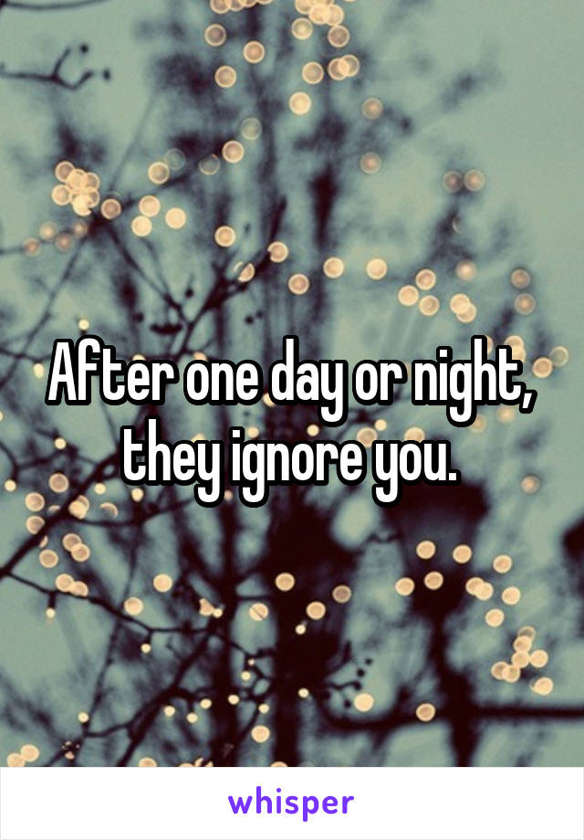 After one day or night,  they ignore you. 